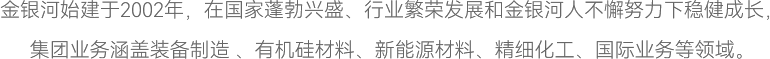 金銀河始建于2002年，在國(guó)家蓬勃興盛、行業(yè)繁榮發(fā)展和金銀河人不懈努力下穩(wěn)健成長(zhǎng)，
集團(tuán)業(yè)務(wù)涵蓋裝備制造 、有機(jī)硅材料、新能源材料、精細(xì)化工、國(guó)際業(yè)務(wù)等領(lǐng)域。